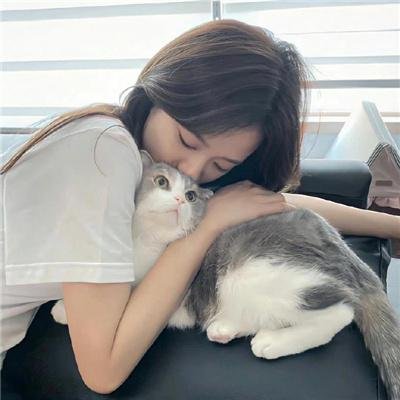 乡村爱情小夜曲