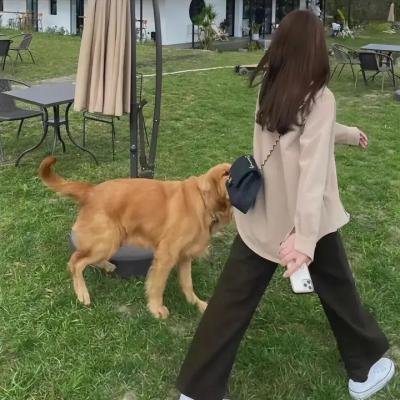 真实女孩